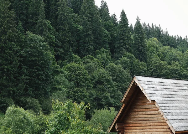 Belle montagne dei Carpazi — Foto Stock