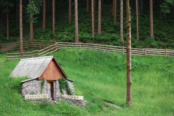 Dřevěný dům na okraji — Stock fotografie