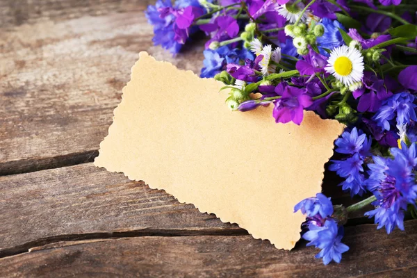 Card with bluettes, delphinium and camomile — Stock Photo, Image