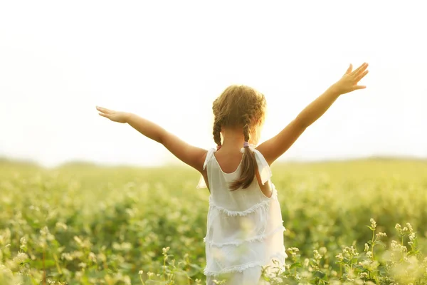 Felice Bambina Campo Nella Giornata Sole — Foto Stock