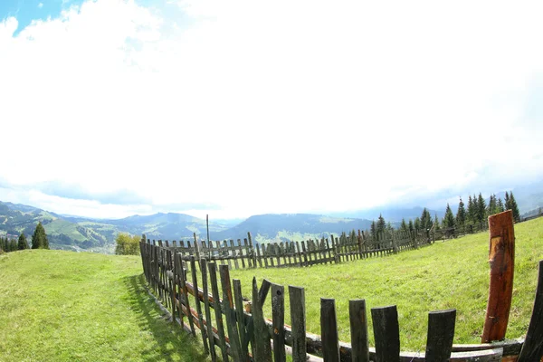 Clôture en bois sur les collines verdoyantes — Photo