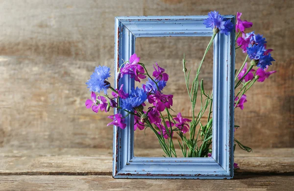 Retro frame with delphinium and bluettes — Stock Photo, Image