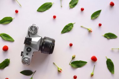 Kırmızı kuş üzümü, ahududu ve ince tabaka fotoğraf makinesi