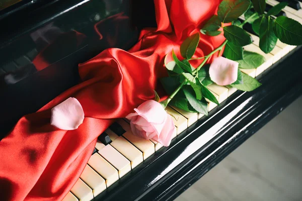 Rosa rosa em teclas de piano — Fotografia de Stock
