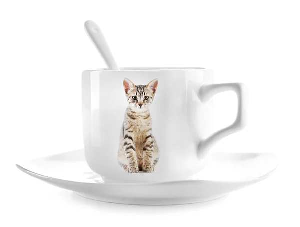 Tasse à café avec photo de chat mignon — Photo