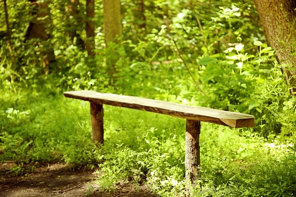 Banc dans la forêt d'été — Photo