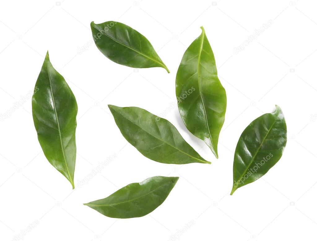 Caralluma extract reviews image 5