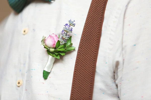 Damat gömlek yaka çiçeği — Stok fotoğraf