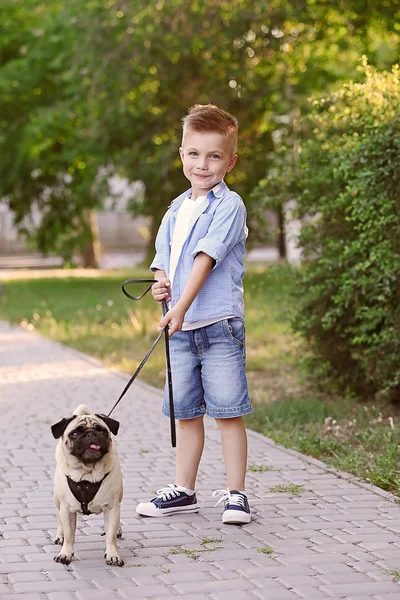 Söt pojke med mops hunden — Stockfoto