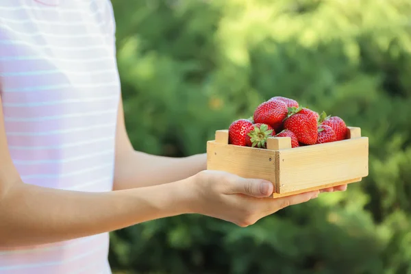 Frau hält Holzkiste mit Erdbeeren — Stockfoto