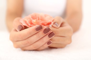 Kahverengi manikür ile eller 