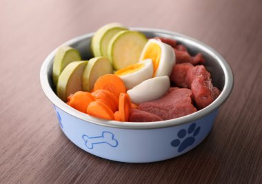 Healthy dog food  clipart