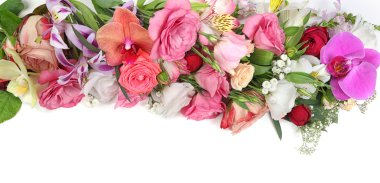 taze güzel çiçekler