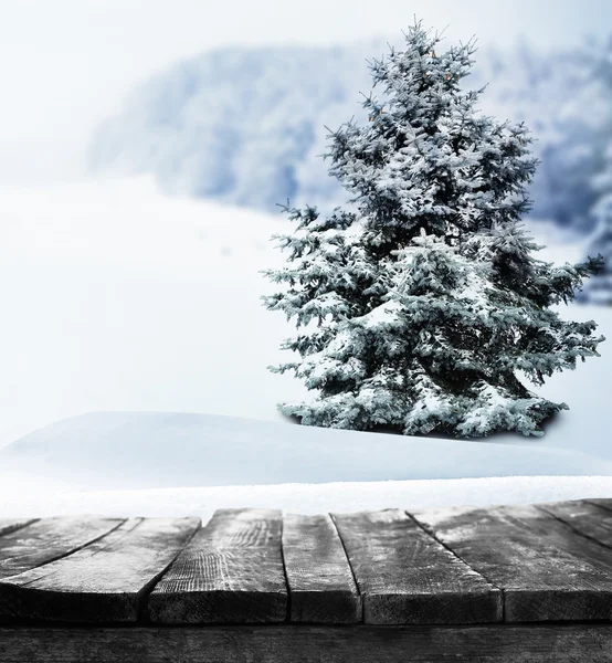 Güzel kış günü kar ile köknar ağacı — Stok fotoğraf