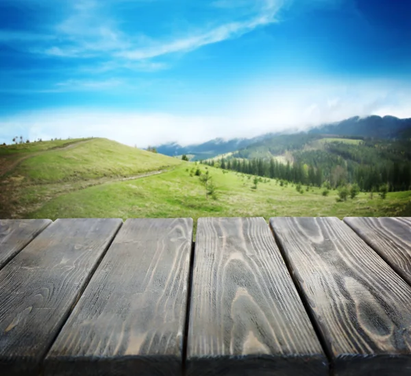 Trä styrelse och sommaren skog — Stockfoto