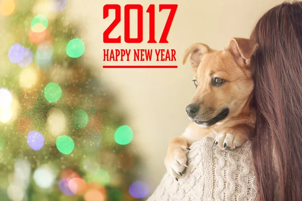 Cão ute no ombro da mulher — Fotografia de Stock