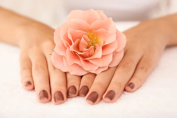 Mãos femininas com manicure marrom — Fotografia de Stock