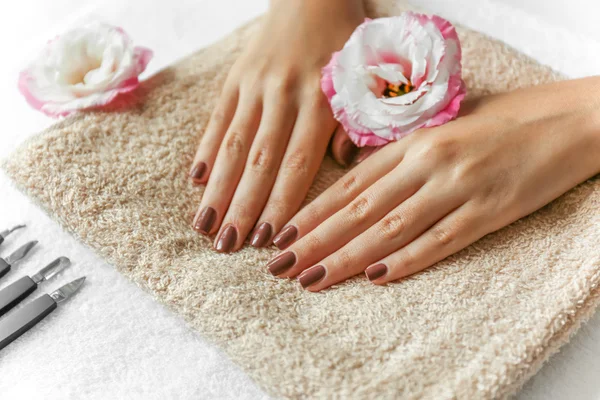 Vrouwelijke handen met bruin manicure — Stockfoto