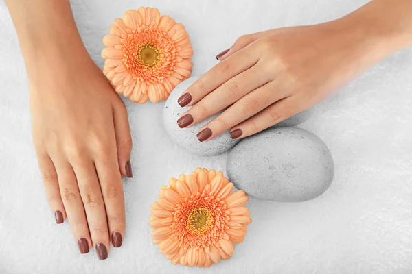 Mani femminili con manicure marrone — Foto Stock