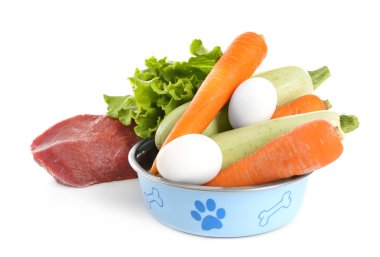 Healthy dog food clipart