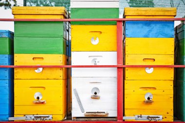 kırsal kesimde çok renkli kuş Yuvaları