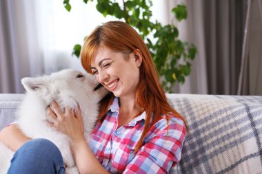 Samoyed köpek ile kız 