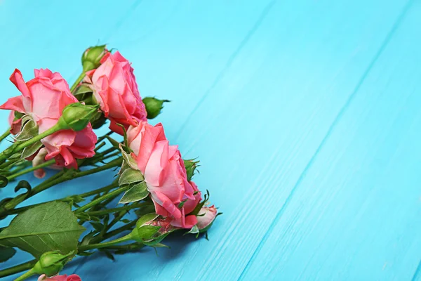 Свежие розовые цветы — стоковое фото