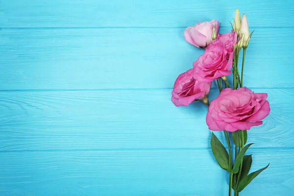 신선한 분홍색 꽃 — 스톡 사진