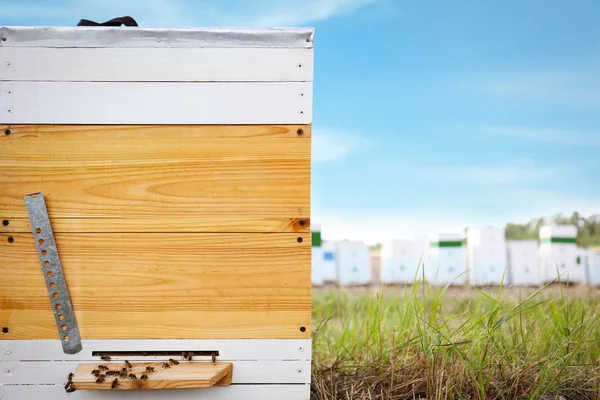 Bienenkorb im Feld im Hintergrund — Stockfoto