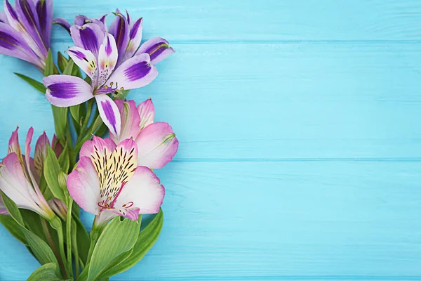 Frische schöne Blumen — Stockfoto