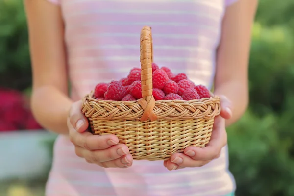 여 자가 들고 나무 딸기 — 스톡 사진