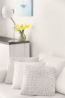 Kanepede şık yastık