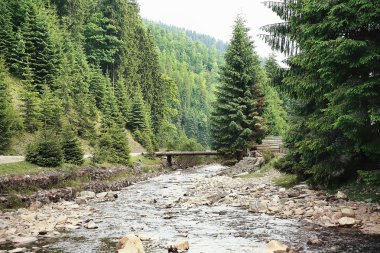 Karpat Dağları manzarası