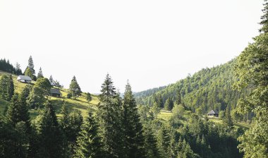 Güzel Dağlar Manzarası