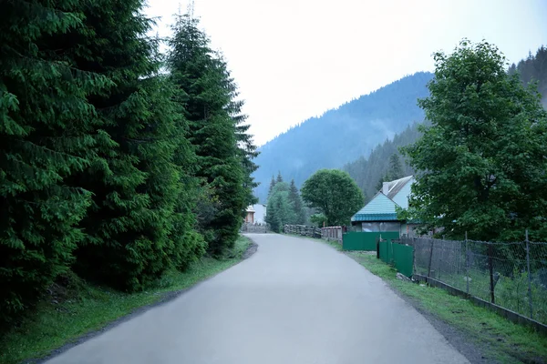 Strada in montagna d'estate — Foto Stock