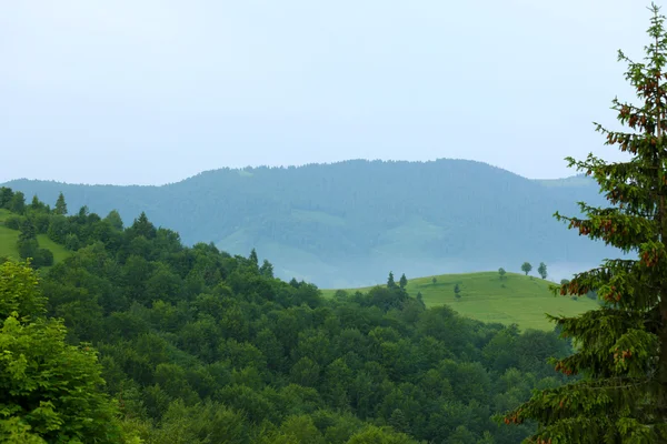 Karpatenlandschaft — Stockfoto