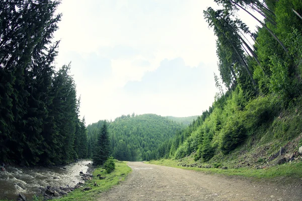 Estrada na floresta de montanha — Fotografia de Stock