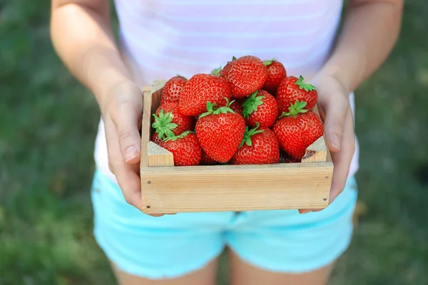 여 자가 들고 딸기 — 스톡 사진