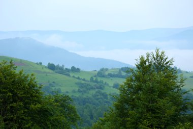Karpat Dağları manzarası