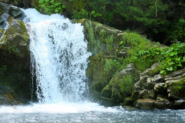 Waterfall in the Carpathian mountains — Stock Photo, Image