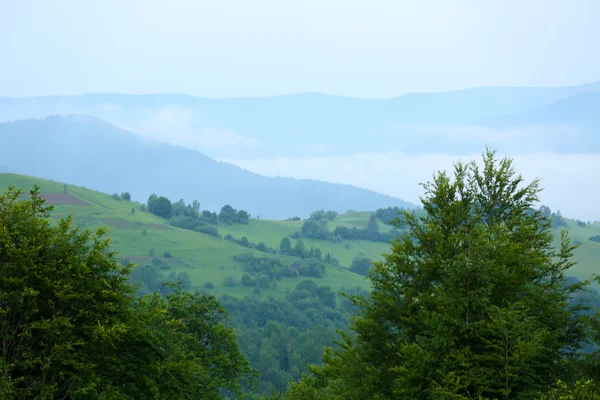 Karpatenlandschaft — Stockfoto