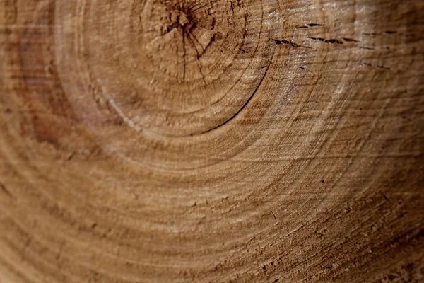 Round timber background — Stock Photo, Image