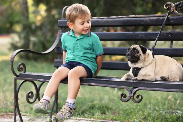 Jongetje met zijn hond dwergspanner — Stockfoto