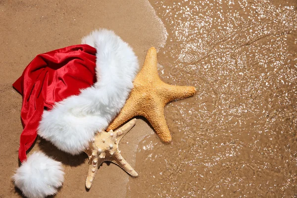 Chapéu de Santa com estrelas do mar — Fotografia de Stock