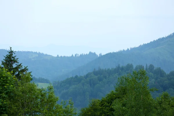 Montagne carpatiche in estate — Foto Stock