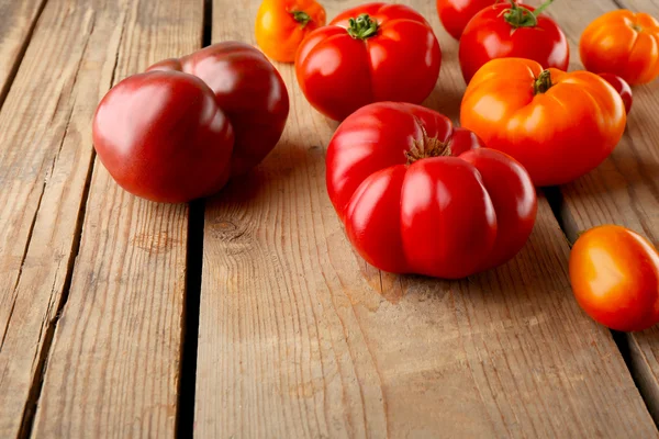 Kompozycja czerwonych i żółtych pomidorów — Zdjęcie stockowe