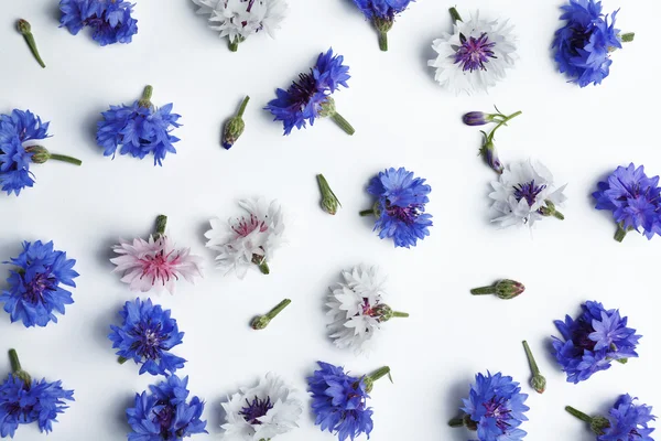 Chaber kwiaty rozproszone — Zdjęcie stockowe