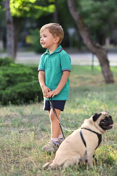 Liten pojke med sin mops hund — Stockfoto