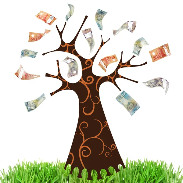 Para ağacını çim ile — Stok fotoğraf