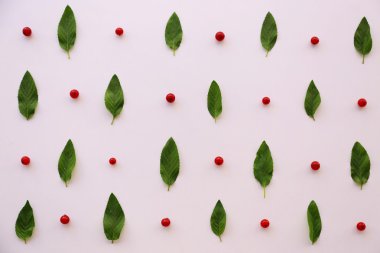 Kırmızı kuş üzümü ve yaprakları desen